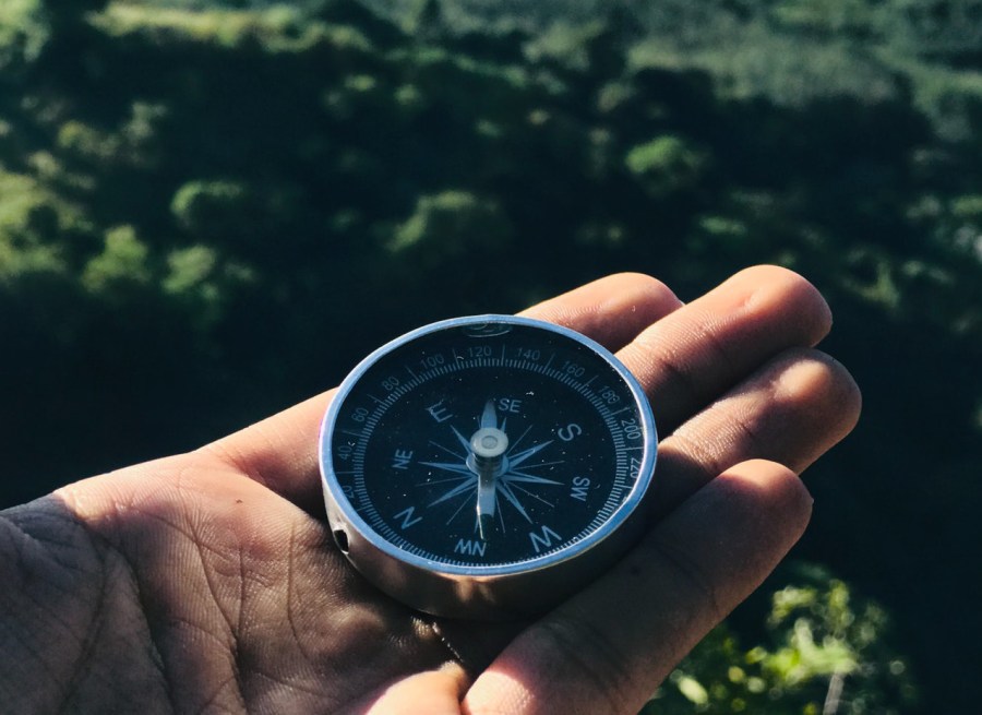 In and Out of the&nbsp;World